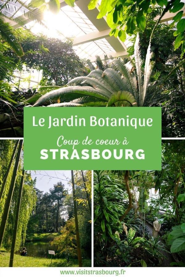 Appartement 6 Personnes Strasbourg Proche Centre Ville & Parking מראה חיצוני תמונה